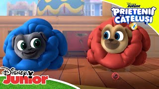 ? Arată și spune! | Prietenii Cățeluși | Disney Junior România