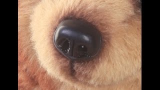 Лепка носа для мишки тедди.