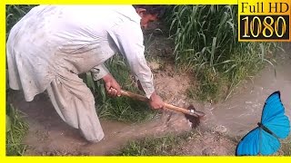 Pakistan Punjab jampur village part 2