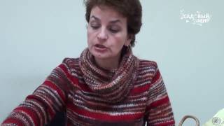 Как вырастить картофель из семян. Сайт "Садовый мир"