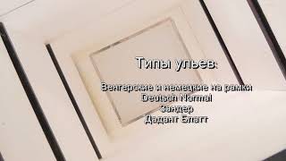 Ульи из пенополистирола