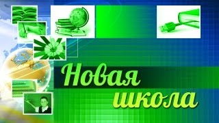 Качество образования. Как проходит реформа образования в регионах?