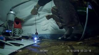 оз. Увильды, ловля рипуса на автомат 18.12.2019