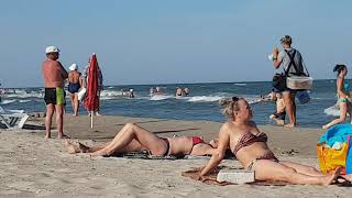 Затока 2019, Пляж, Солнечный район, Зеленые водоросли.