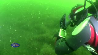 Олд рэк. Лебедевка. Old wreck. Lebedevka (Black Sea)