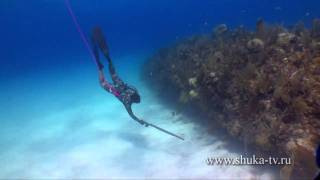 Подводная охота на Кубе часть 4. Spearfishing in Cuba