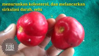 OBAT KUAT Pria Tahan Lama bukan kopi dan pasta gigi