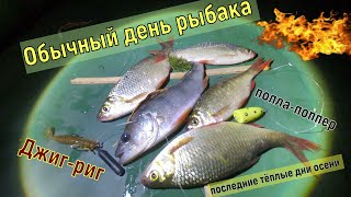 Рыбалка.Обычный день рыбака. Джиг-риг.  Попла-поппер.Рыбалка .рыбалка.