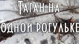Таганок на одной рогульке. Быстро и просто