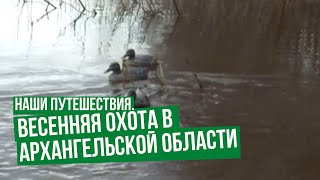 Наши путешествия. Весенняя охота в Архангельской области