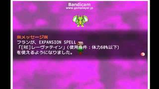 東方自然癒　EX　紅魔館戦　後半