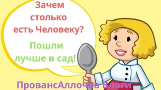 Зачем столько есть человеку?/Пошли лучше в сад-огород! Первые кабачки