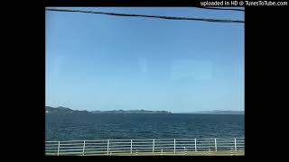 佐野元春 - 約束の橋
