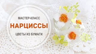 Мастер-класс "Нарциссы"