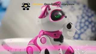 Teksta Robotic Kitty интерактивная кошка. Игрушка робот Текста Китти