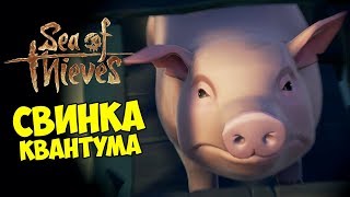 НАПАЛИ ВТРОЕМ НА ОДНОГО. НАСТОЯЩИЕ ПИРАТЫ И СВИНКА КВАНТУМА - SEA OF THIEVES