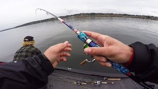 My first Smallmouth of 2017 and a NEW fishing technique!!