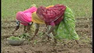 Meena Tribe of Rajasthan - A Documentary Movie
