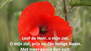 Tienduizend redenen - Opwekking 733
