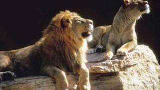 Zona Ganjah - En zion mi anhelo (con letra)