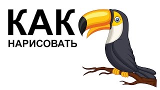 Птицы карандашом. КАК НАРИСОВАТЬ ПТИЦУ поэтапно