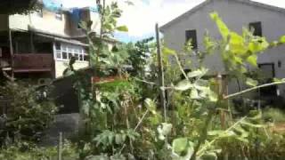 Living Yamberry Trellis