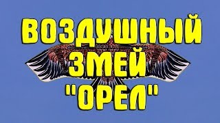Воздушный змей "Орел": обзор, сборка и запуск