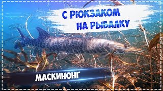 Русская Рыбалка Installsoft Edition 3.7.6 Великие озёра - КВ Маскинонг