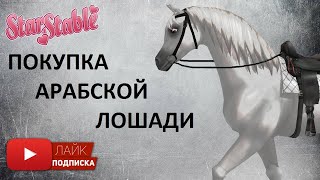 Покупка арабской лошади в Star Stable Online | Покупаю араба в Стар Стейбл