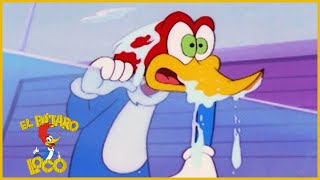 El Pajaro Loco en Español | Un Día de Pesca | Dibujos Animados | Caricaturas para Niños