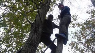 Как лазать по деревьям