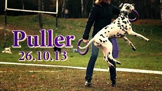 Puller | Чемпионат по Дог-Пуллер  26.10.13