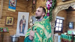 О Святом Духе и как Он в нас действует. Проповедь протоиерея Павла Сердюка на Троицу