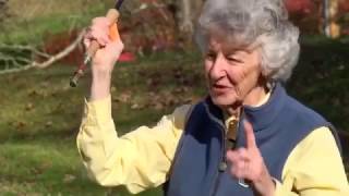 R. L. WINSTON FLY CASTING INSTRUCTION With  J. Wolf