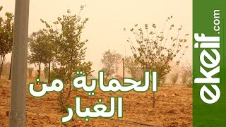 كيف نمنع دخول الغبار الى الرئتين