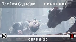 Прохождение The Last Guardian #20 | Сражение (PS4 Pro)