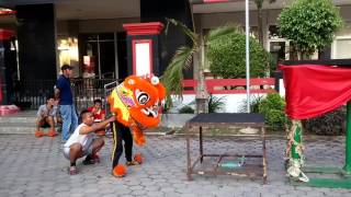 Barongsai ETDT