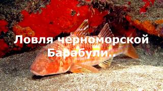 Ловля Барабульки на Чёрном море.