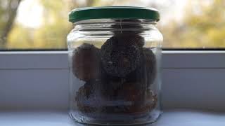 HFood конфеты финиковые ореховое ассорти в маке. 25 grams (Assorted candies nut in poppy. 25 grams)