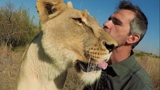 Do Meg & Amy Clash? #AskMeg | The Lion Whisperer