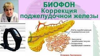Приборы БИОМЕДИС | BIOMEDIS. Биорезонансная терапия. Биофон. Коррекция поджелудочной железы_24.01.17