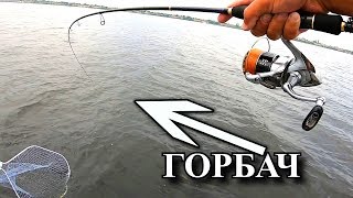 Окуни горбачи клюют отдай спиннинг! Жор ОКУНЯ! Летом!!)) Рыбалка моща!