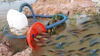 Ловушка для рыбы 2018 Нереальная охота на рыбу, Необычные случаи на рыбалке 2018 Вот это рыбалка