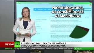 "La legalización de la marihuana en Uruguay abre un debate al respecto en toda la región"
