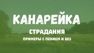 [CEG] Канарейка