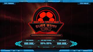 VfL Wolfsburg vs SC Paderborn 07 Jasa Tipster Bola