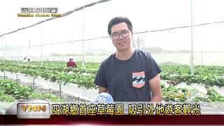 雲林新聞網-四湖鄉首座草莓園 吸引外地遊客觀光