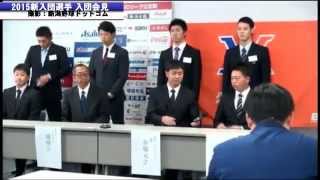 【ＢＣＬ】新潟2015新入団選手入団会見