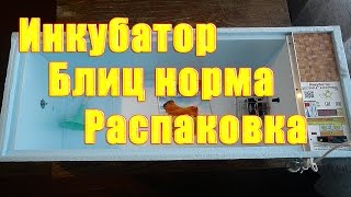 Инкубатор автоматический блиц норма распаковка | Жизнь в селе