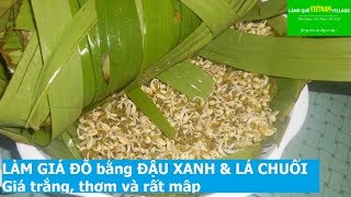 ?MTVV? || LÀM GIÁ ĐỖ bằng ĐẬU XANH và LÁ CHUỐI, Giá trắng, thơm và rất mập ^.^ -MỘC THẢO